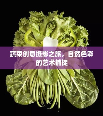 蔬菜创意摄影之旅，自然色彩的艺术捕捉