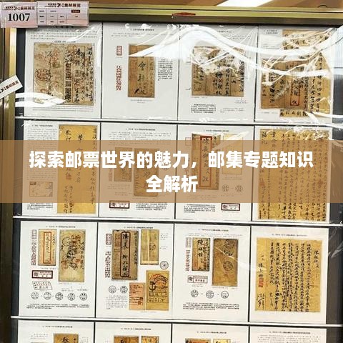 探索邮票世界的魅力，邮集专题知识全解析