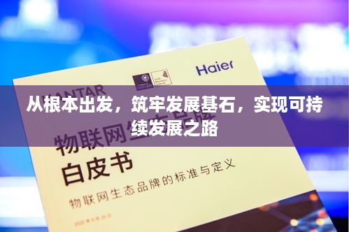 从根本出发，筑牢发展基石，实现可持续发展之路