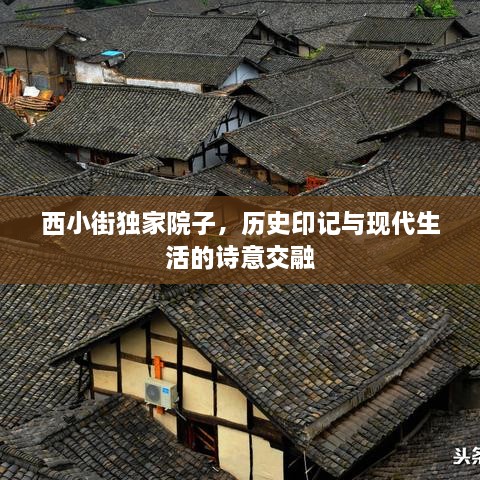 西小街独家院子，历史印记与现代生活的诗意交融