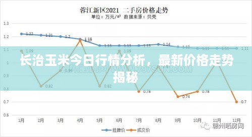 长治玉米今日行情分析，最新价格走势揭秘