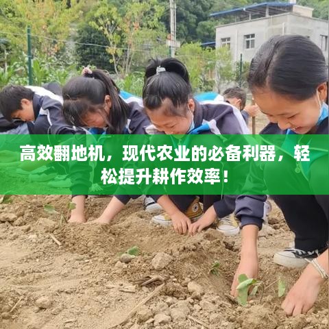 美文 第43页