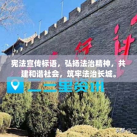 新闻 第43页