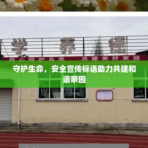 守护生命，安全宣传标语助力共建和谐家园