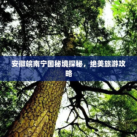 安徽皖南宁国秘境探秘，绝美旅游攻略