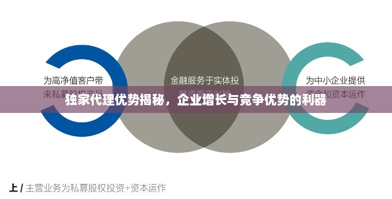 独家代理优势揭秘，企业增长与竞争优势的利器