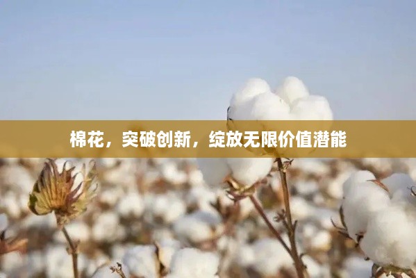 美文 第41页