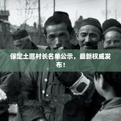 保定土匪村长名单公示，最新权威发布！