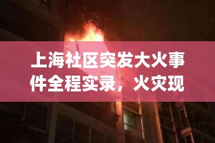 10词海二八