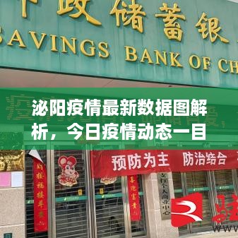 泌阳疫情最新数据图解析，今日疫情动态一目了然