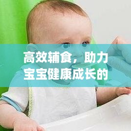 高效辅食，助力宝宝健康成长的新选择！