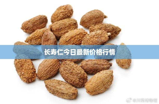 长寿仁今日最新价格行情