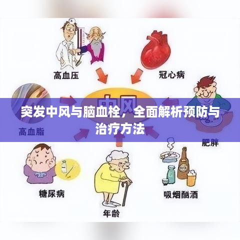 突发中风与脑血栓，全面解析预防与治疗方法