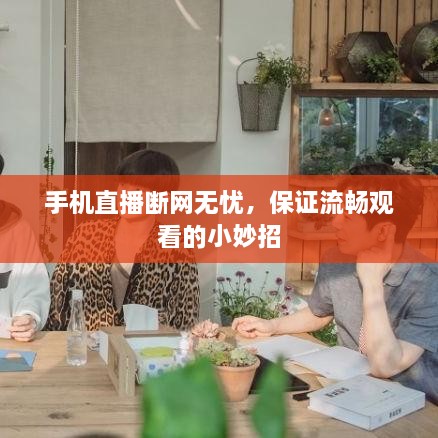 手机直播断网无忧，保证流畅观看的小妙招