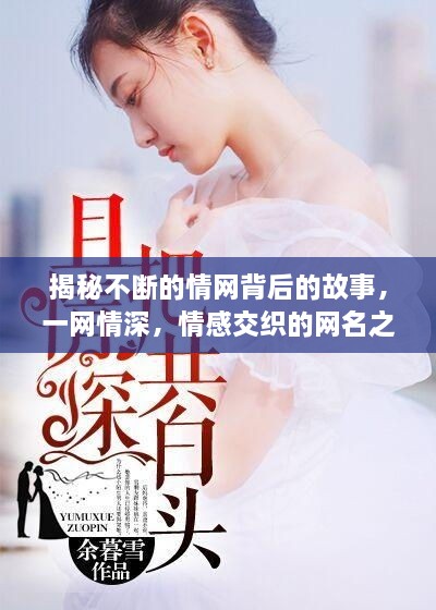 揭秘不断的情网背后的故事，一网情深，情感交织的网名之旅