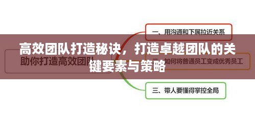 高效团队打造秘诀，打造卓越团队的关键要素与策略