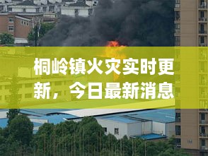 桐岭镇火灾实时更新，今日最新消息揭秘！