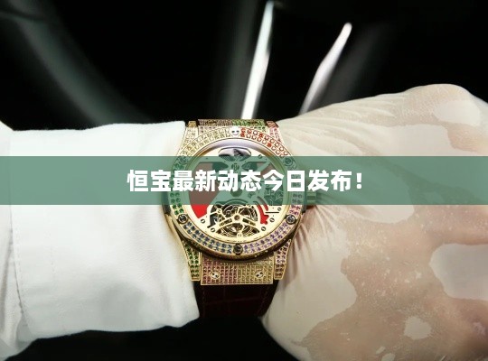 恒宝最新动态今日发布！