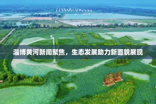 淄博黄河新闻聚焦，生态发展助力新面貌展现