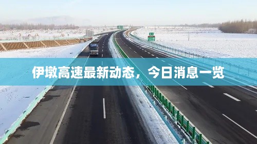 新闻 第38页