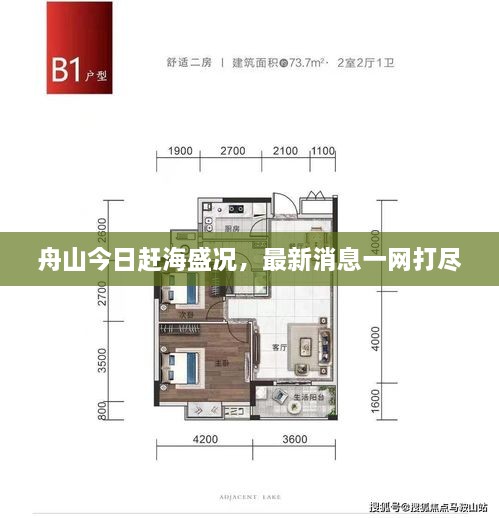 舟山今日赶海盛况，最新消息一网打尽