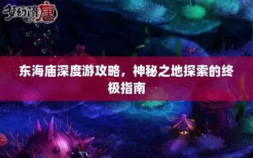 东海庙深度游攻略，神秘之地探索的终极指南