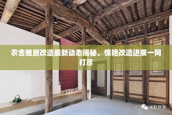 农舍雅居改造最新动态揭秘，惊艳改造进展一网打尽