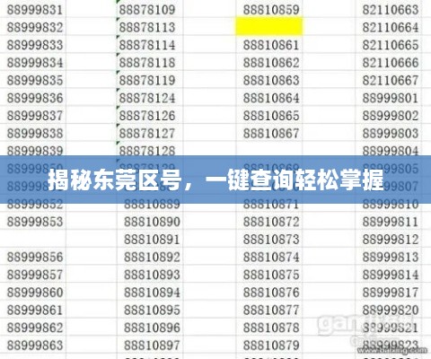 揭秘东莞区号，一键查询轻松掌握