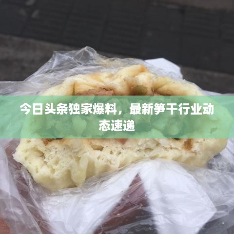 今日头条独家爆料，最新笋干行业动态速递