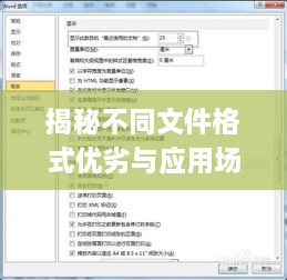 揭秘不同文件格式优劣与应用场景，哪种文件更高效？
