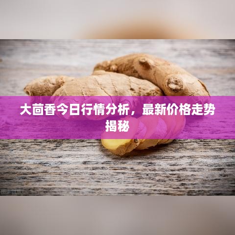 大茴香今日行情分析，最新价格走势揭秘