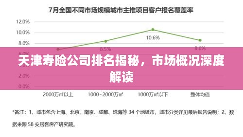 天津寿险公司排名揭秘，市场概况深度解读