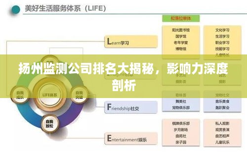 扬州监测公司排名大揭秘，影响力深度剖析