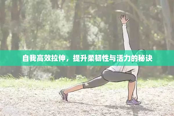 自我高效拉伸，提升柔韧性与活力的秘诀