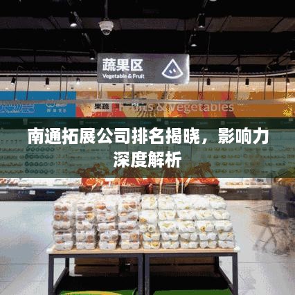 南通拓展公司排名揭晓，影响力深度解析