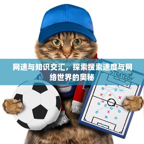 网速与知识交汇，探索搜索速度与网络世界的奥秘