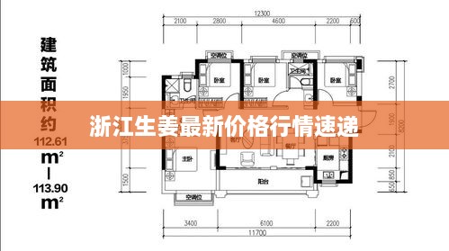 浙江生姜最新价格行情速递