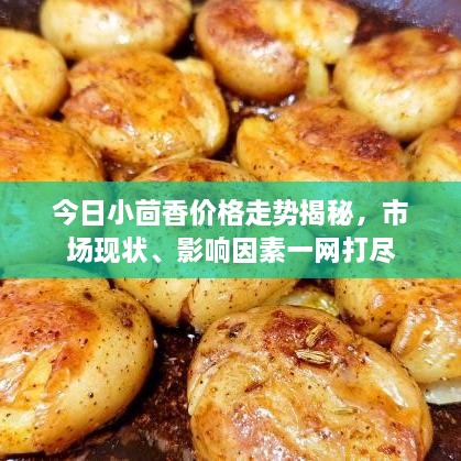 今日小茴香价格走势揭秘，市场现状、影响因素一网打尽