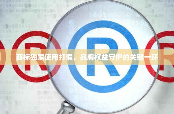 商标独家使用打假，品牌权益守护的关键一环
