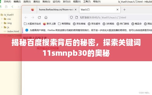 揭秘百度搜索背后的秘密，探索关键词11smnpb30的奥秘