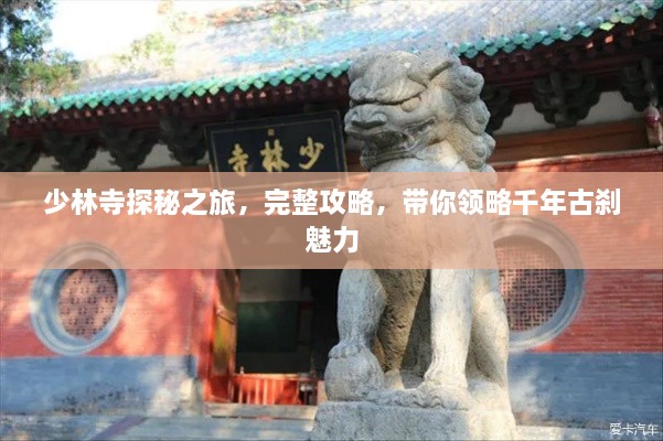 不翼而飞