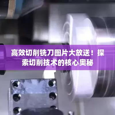 出就外傅