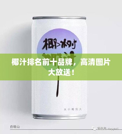 椰汁排名前十品牌，高清图片大放送！