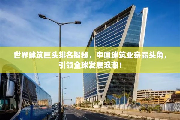 puzhangyangli