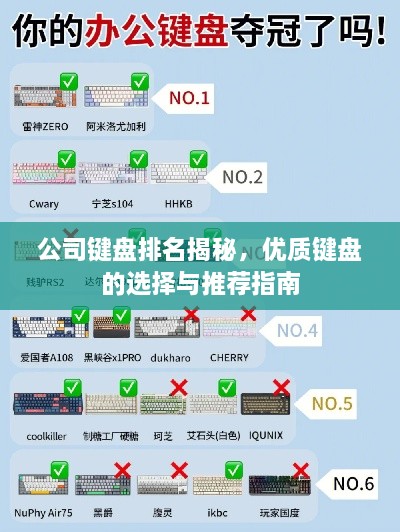 公司键盘排名揭秘，优质键盘的选择与推荐指南
