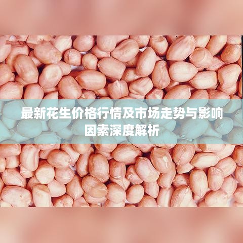最新花生价格行情及市场走势与影响因素深度解析
