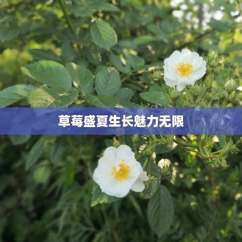 心慌意乱