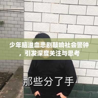 少年脑溢血悲剧敲响社会警钟，引发深度关注与思考