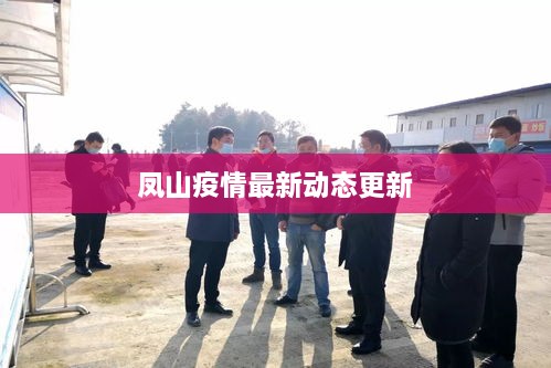 凤山疫情最新动态更新