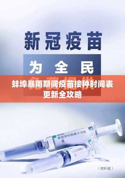 蚌埠暴雨期间疫苗接种时间表更新全攻略